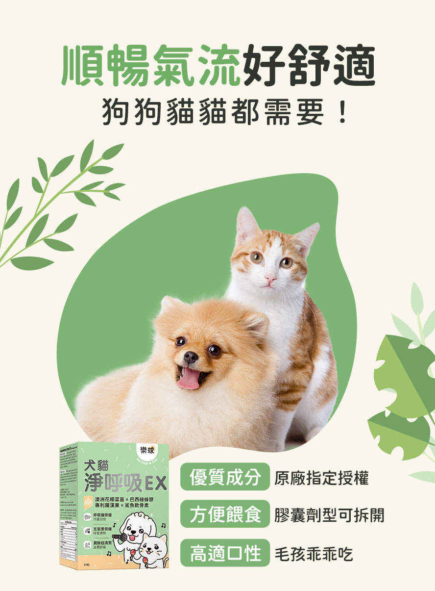 多種食用方法，餵食超方便。